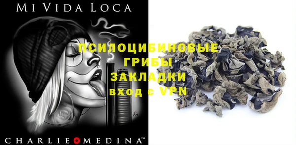 гидропоника Долгопрудный