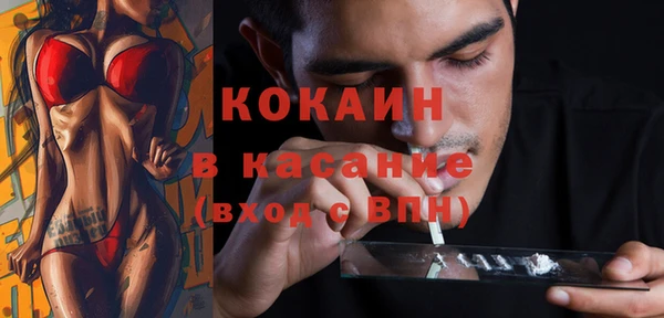 дмт Алексин