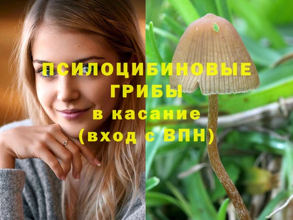экстази Алексеевка