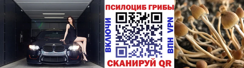 наркошоп  Ленинск-Кузнецкий  Псилоцибиновые грибы MAGIC MUSHROOMS 